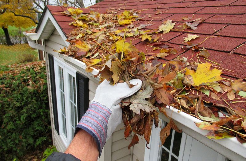 Gutter Clearing