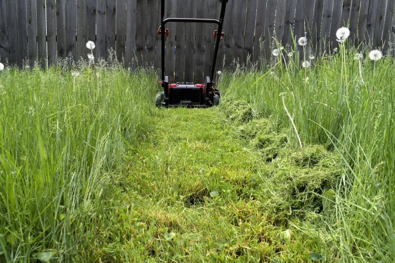 Lawn Mowing Equipment
