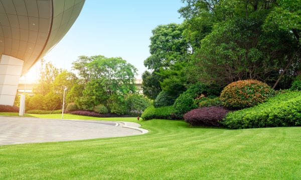 Commercial Lawn Care in Edmonds