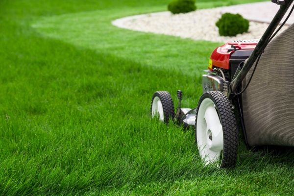 Grass Cutting Service in Edmonds