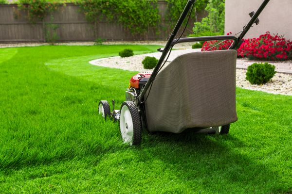 Cost of Grass Mowing in Edmonds