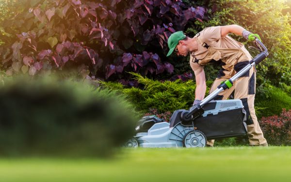 Lawn Care And Maintenance in Edmonds