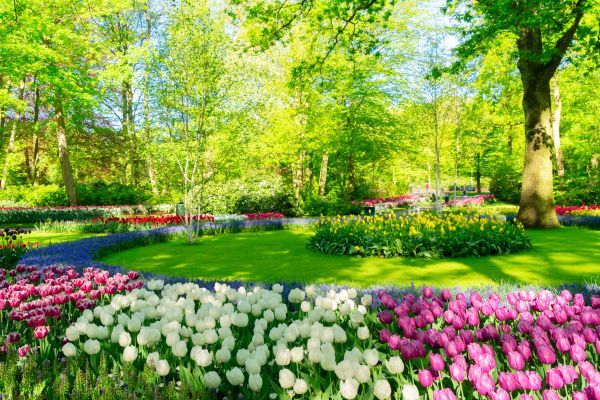 Spring Lawn Care in Edmonds