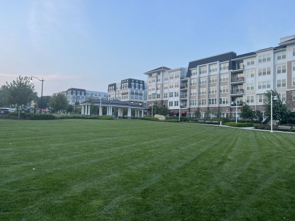 Cost of Urban Lawn Care in Edmonds