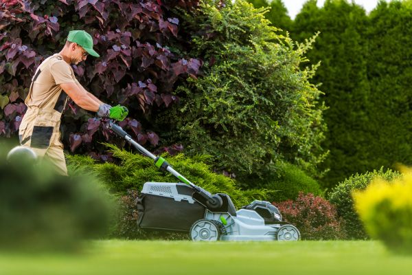 Lawn Management in Edmonds