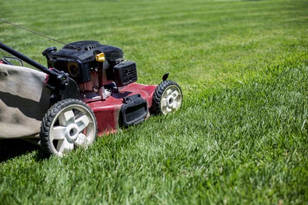 Routine Lawn Care in Edmonds