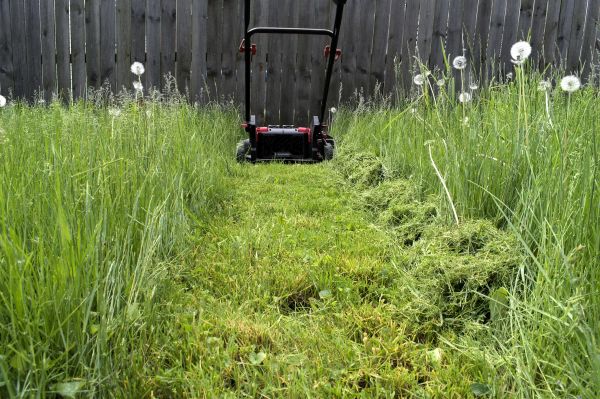 Cost of High Grass Mowing in Edmonds