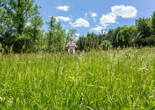 Cost of Long Grass Mowing in Edmonds