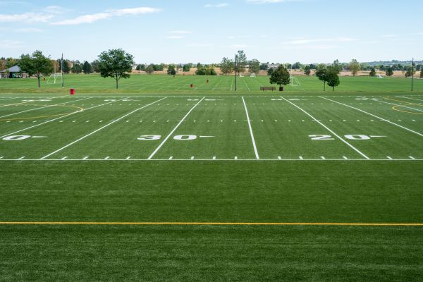 Groundskeeping Service in Edmonds