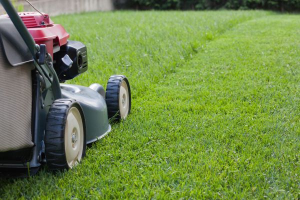 Summer Lawn Care in Edmonds