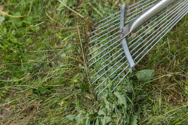 Thatch Raking in Edmonds