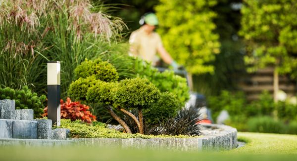 Cost of Residential Yard Maintenance in Edmonds