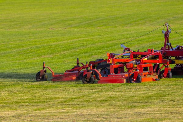 Industrial Lawn Service in Edmonds