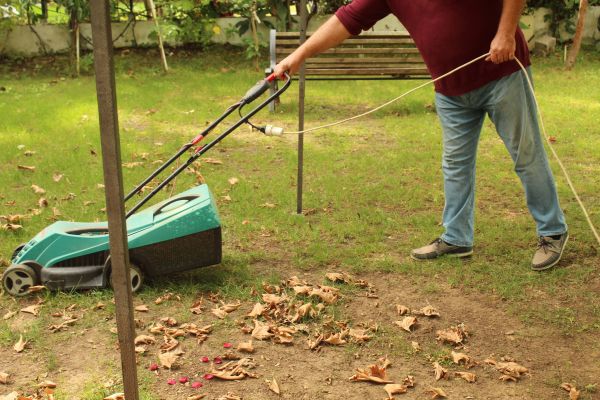 Cost of Leaves Mowing in Edmonds