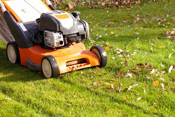 Cost of Fall Mowing in Edmonds