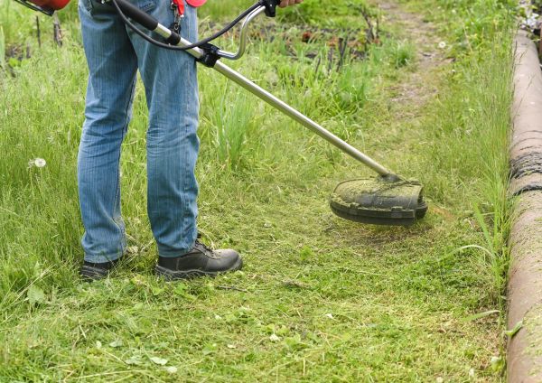 Cost of Tall Grass Trimming in Edmonds